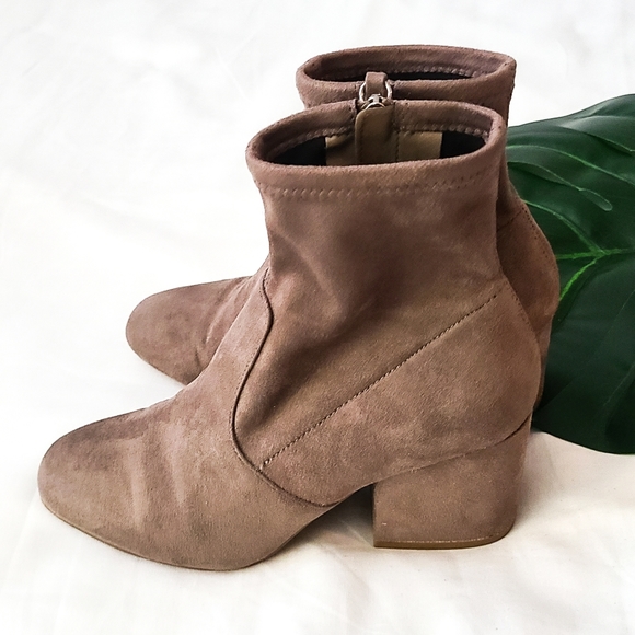 Steve Madden Shoes - Steve madden Iberia booties